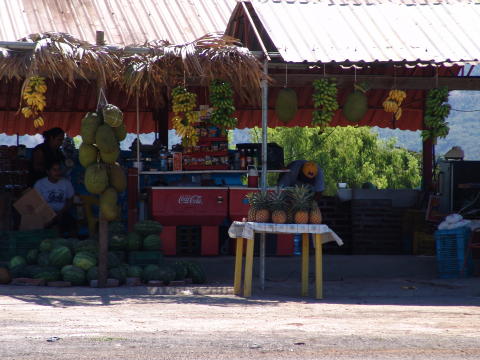 DSC01907