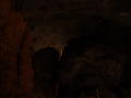 DSC01447
