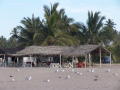 DSC01697