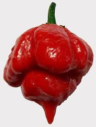moruga