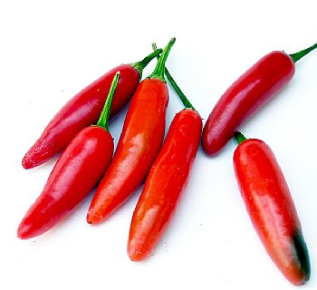 serrano