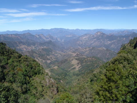 DSC01549